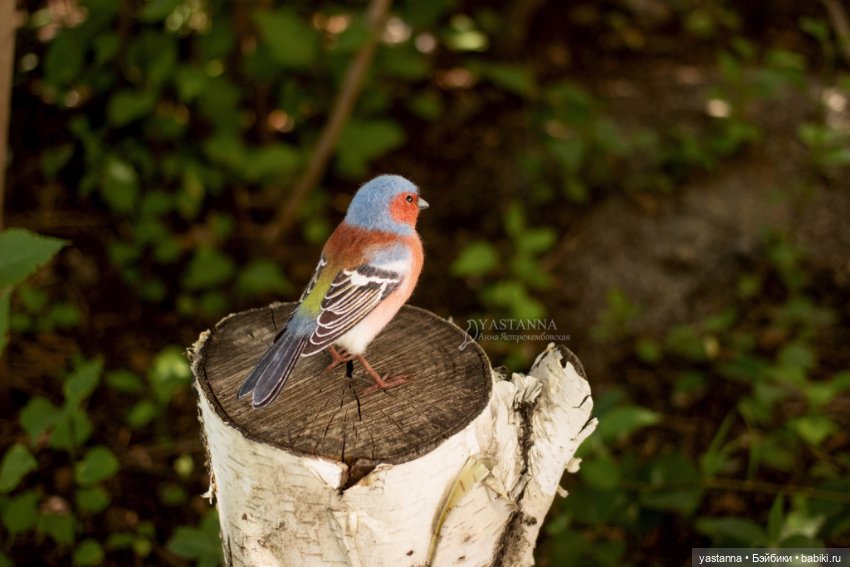 Зяблик — Валяные игрушки из шерсти: сухое валяние (фото 6)