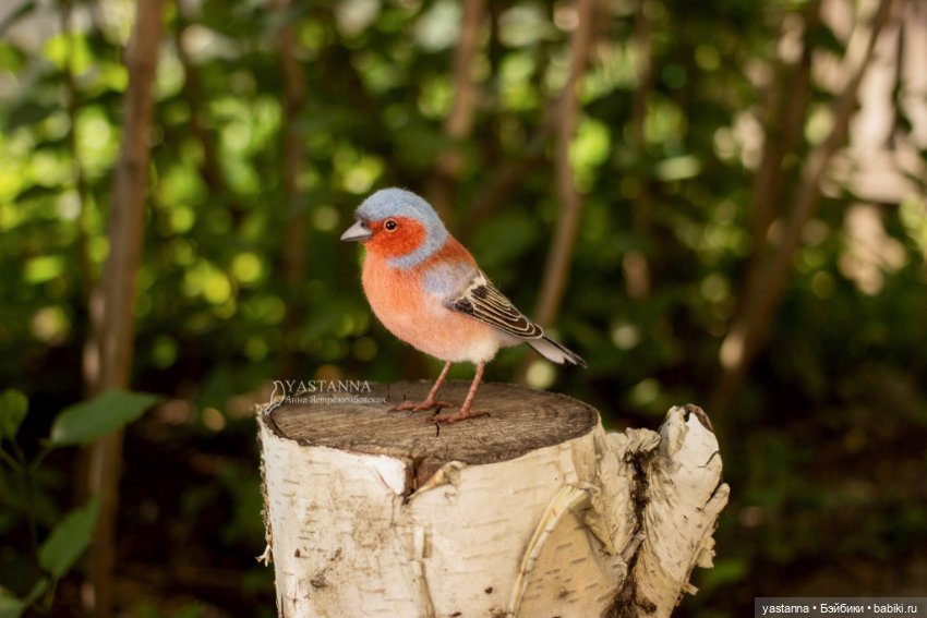 Зяблик — Валяные игрушки из шерсти: сухое валяние (фото 10)