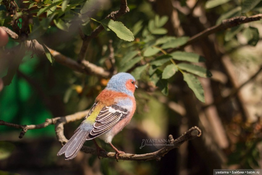 Зяблик — Валяные игрушки из шерсти: сухое валяние