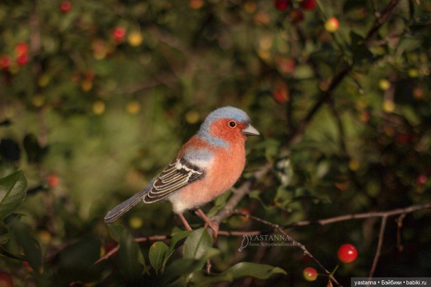Зяблик — Валяные игрушки из шерсти: сухое валяние (фото 3)