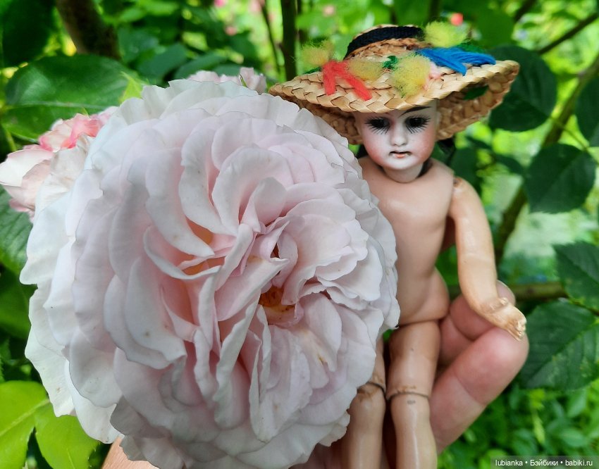 Прекрасная оборванка,кто она