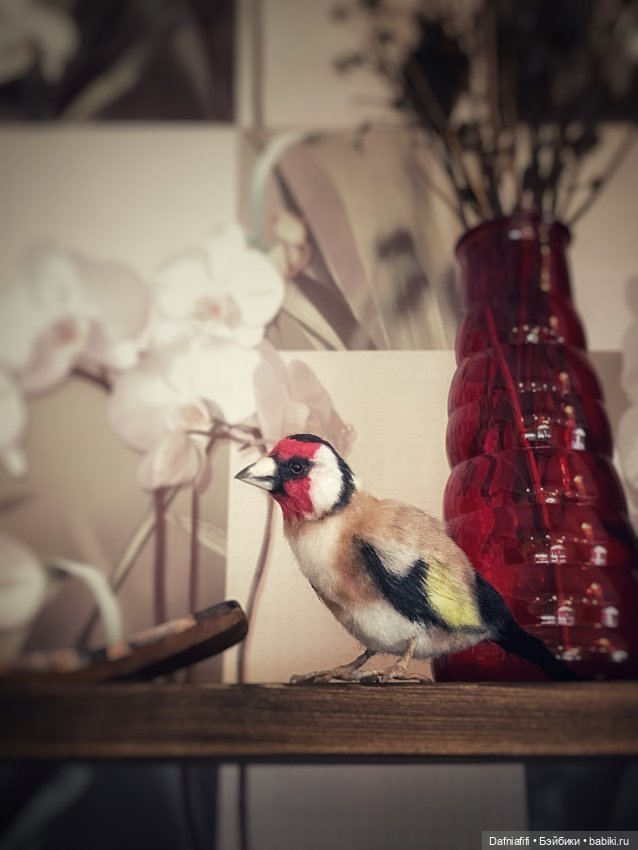 Сейчас вылетит птичка! Или не вылетит (фото 3)