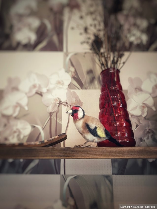 Сейчас вылетит птичка! Или не вылетит (фото 2)