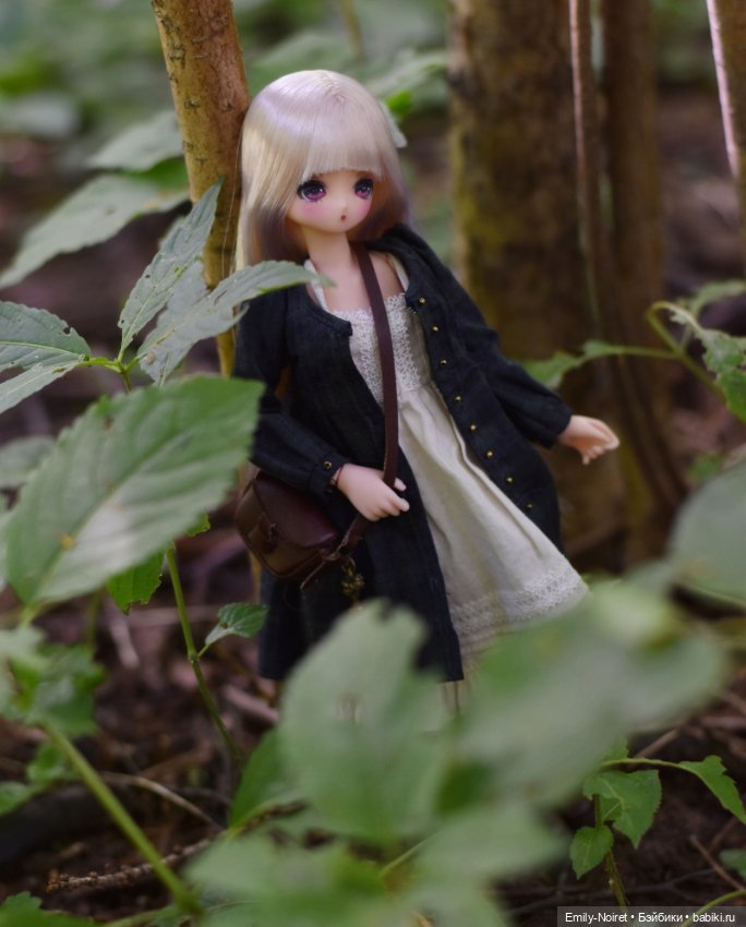 Чужие прекрасные куколки — Аниме куклы (MJD/Винил): Imomo