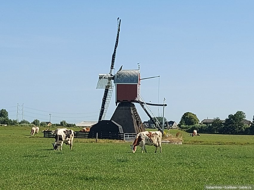 Fashion Dolls 403 — Туризм и путешествия: фотоотчеты из поездок