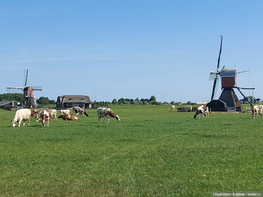 Fashion Dolls 403 — Туризм и путешествия: фотоотчеты из поездок