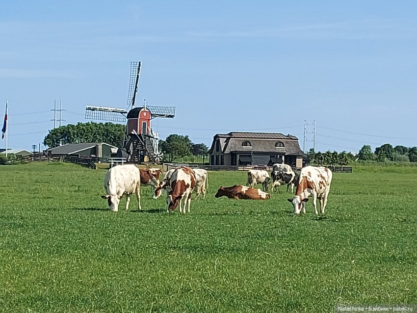 Fashion Dolls 403 — Туризм и путешествия: фотоотчеты из поездок