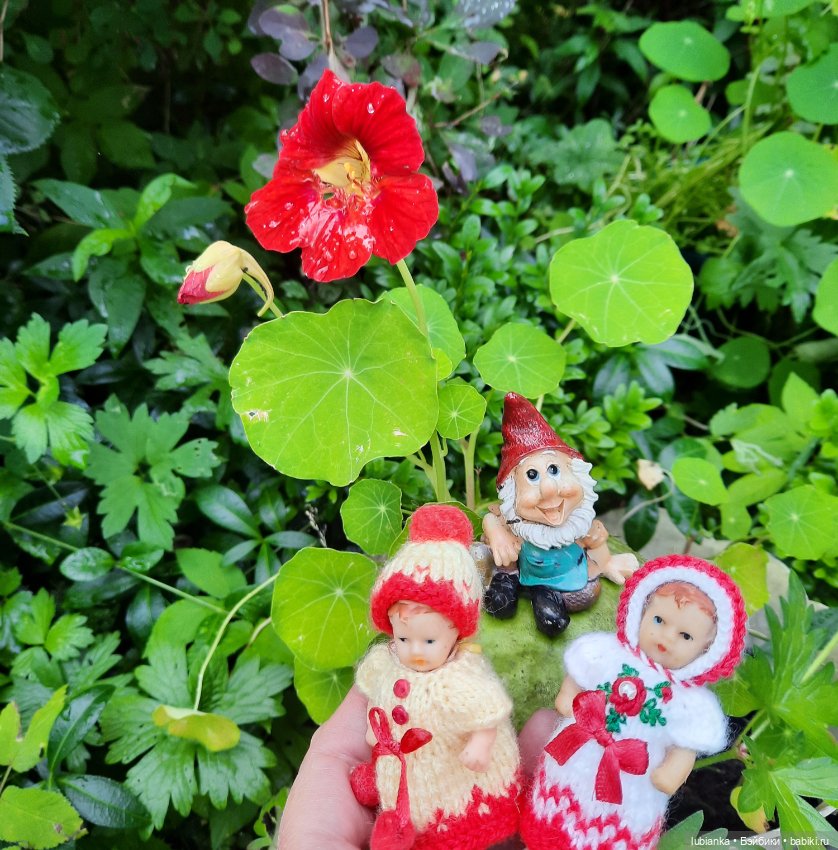 Сегодня похолодало,можно и в шапках🤗😍 (фото 5)