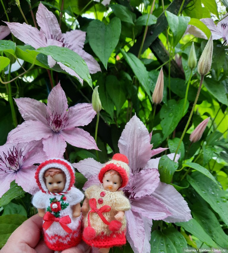 Сегодня похолодало,можно и в шапках🤗😍