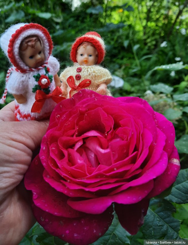 Сегодня похолодало,можно и в шапках🤗😍