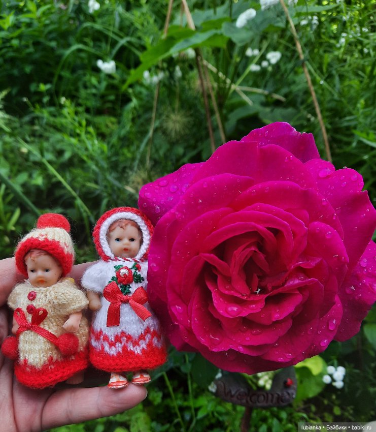 Сегодня похолодало,можно и в шапках🤗😍 (фото 3)