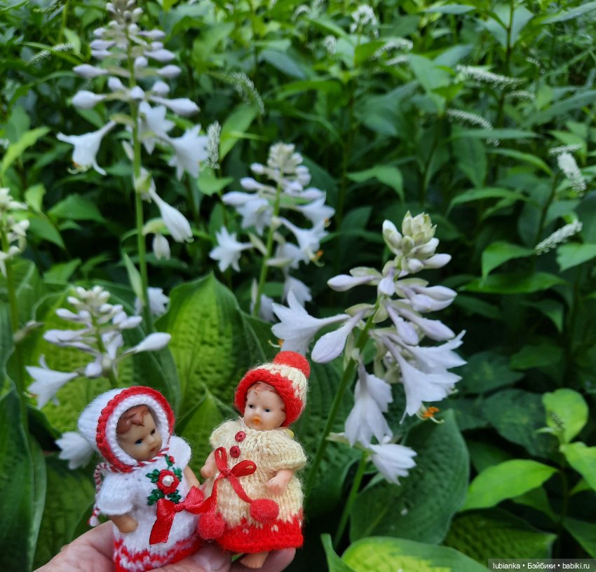 Сегодня похолодало,можно и в шапках🤗😍