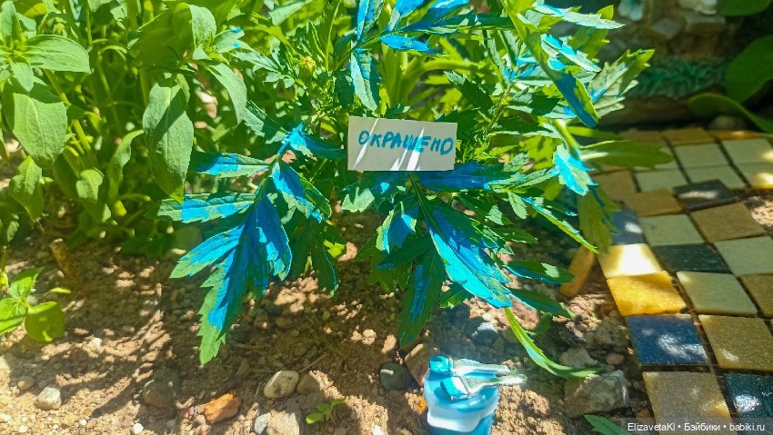 Красим. Realpuki. 168 — Фотоистории с куклами BJD (БЖД): сериалы