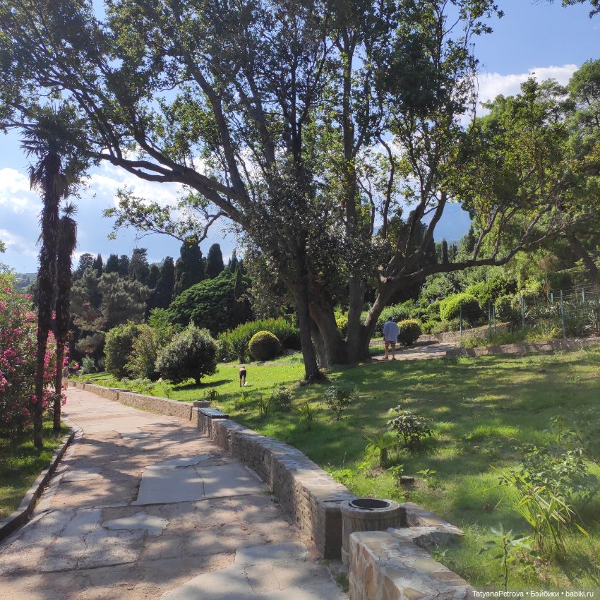 Немножко Розы в ленту❤️ — Куклы Dollshe Craft (Доллше): BJD (БЖД) (фото 3)