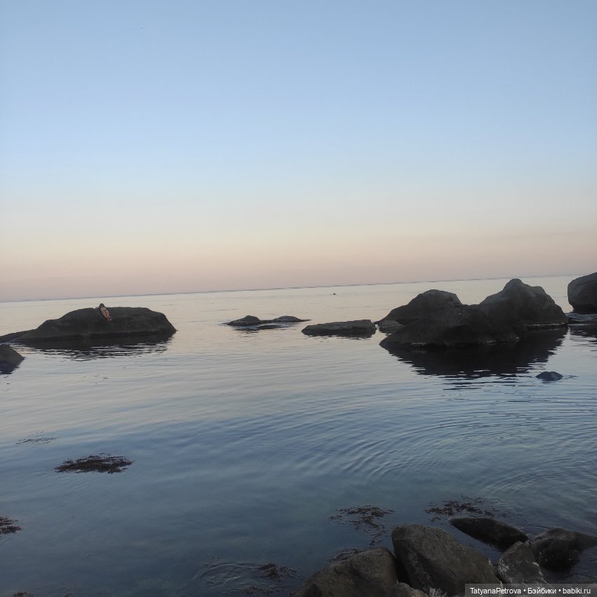 Немножко Розы в ленту❤️ — Куклы Dollshe Craft (Доллше): BJD (БЖД) (фото 9)