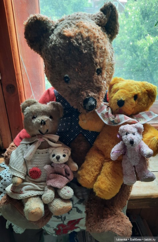 Вся медвежачья дачная семья