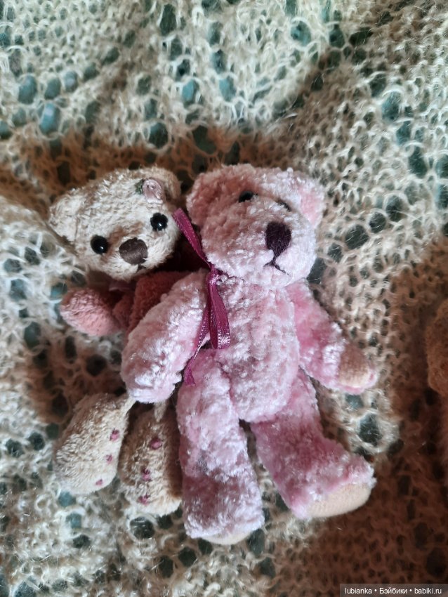 Вся медвежачья дачная семья