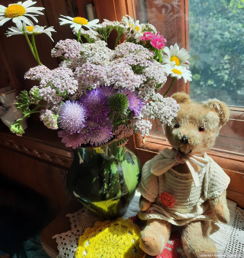 Вся медвежачья дачная семья (фото 5)