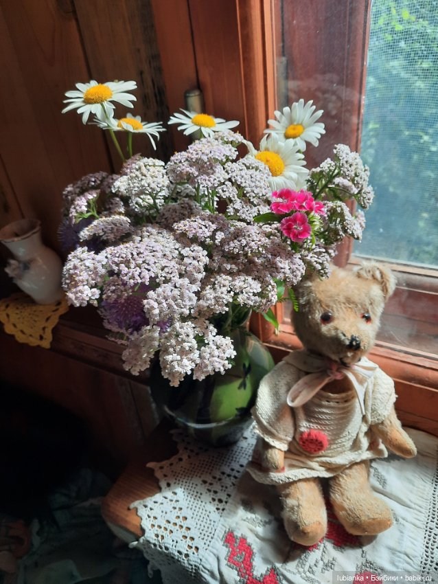 Вся медвежачья дачная семья (фото 9)