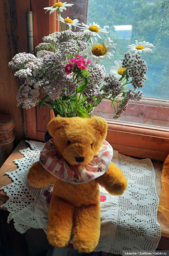 Вся медвежачья дачная семья (фото 8)