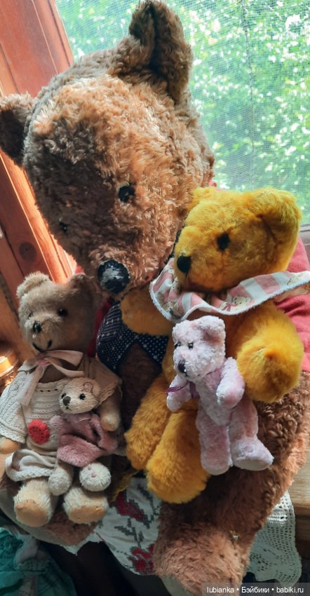 Вся медвежачья дачная семья