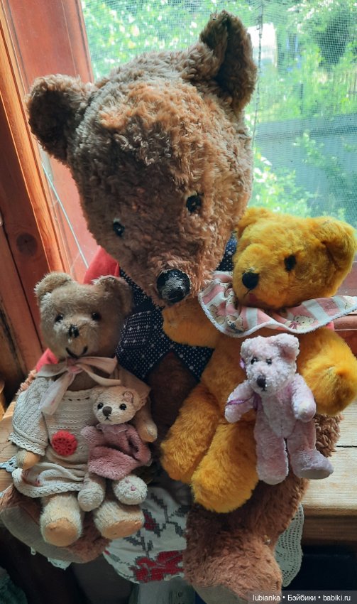 Вся медвежачья дачная семья