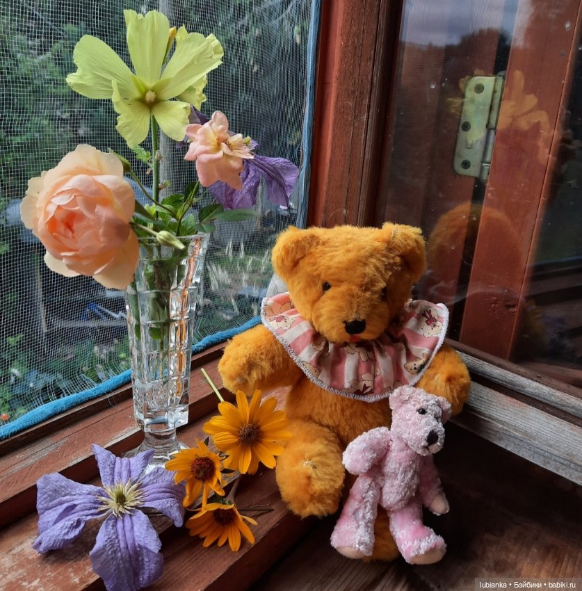 Вся медвежачья дачная семья (фото 2)