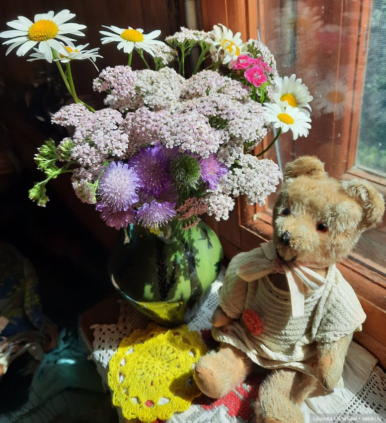 Вся медвежачья дачная семья (фото 4)