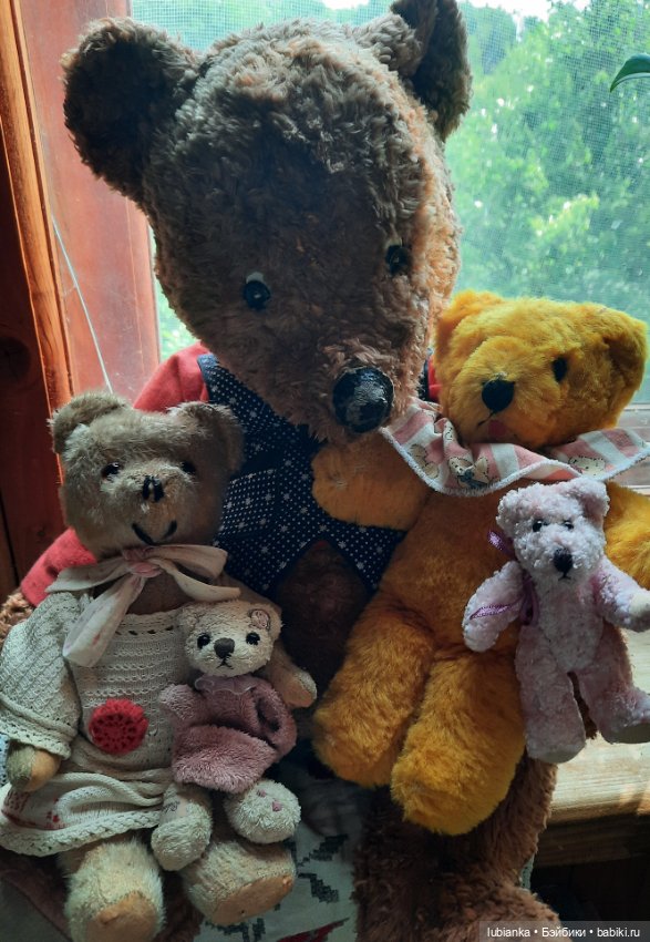 Вся медвежачья дачная семья