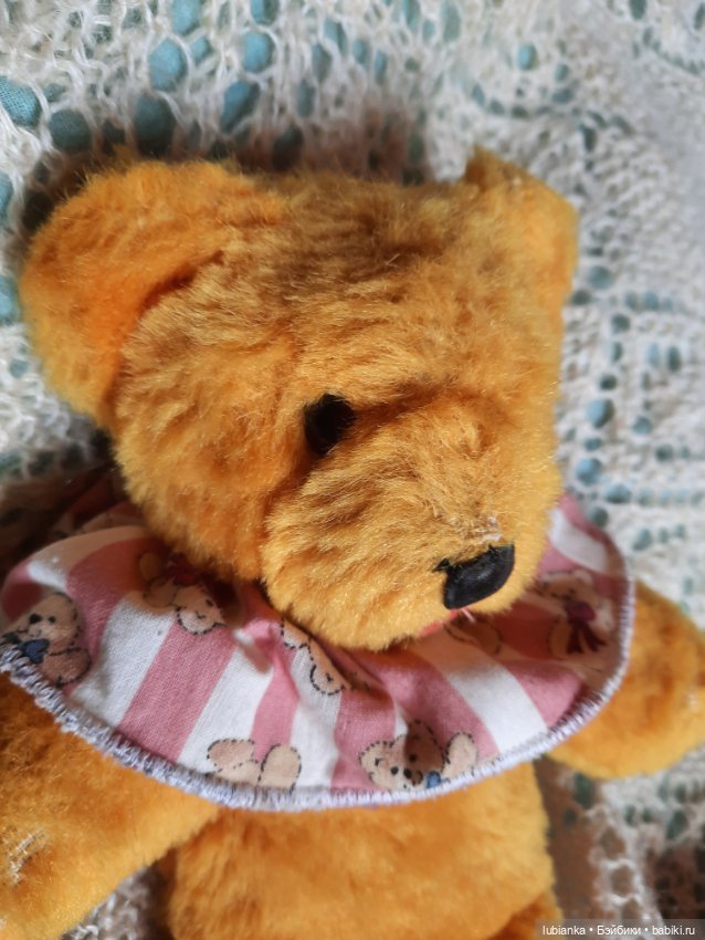 Вся медвежачья дачная семья