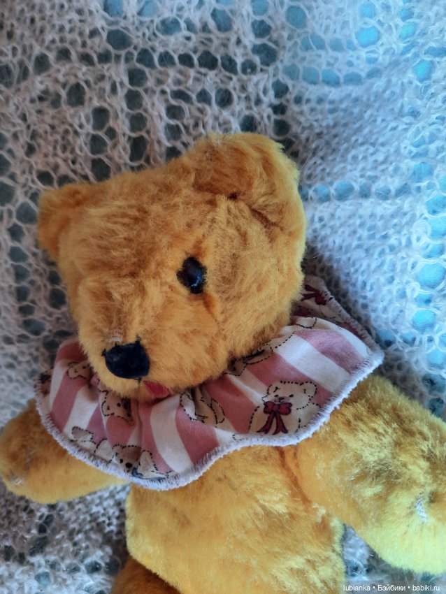 Вся медвежачья дачная семья