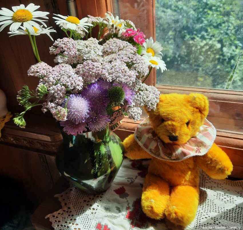 Вся медвежачья дачная семья (фото 6)