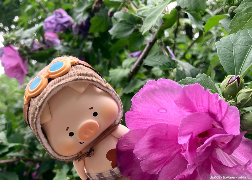 Маленький Лёня и большие деревья