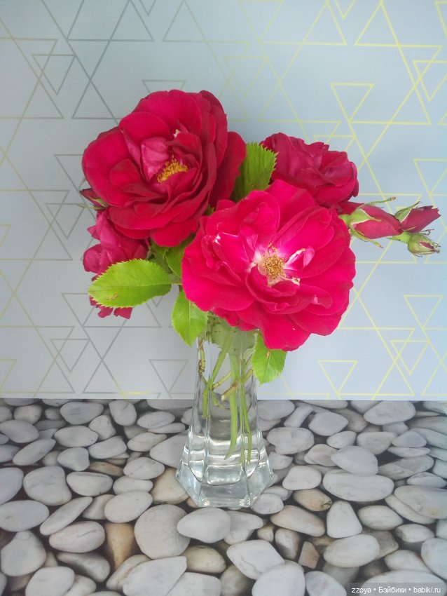 Гибриды шарнирных кукол (не БЖД): подбор тела (фото 8)