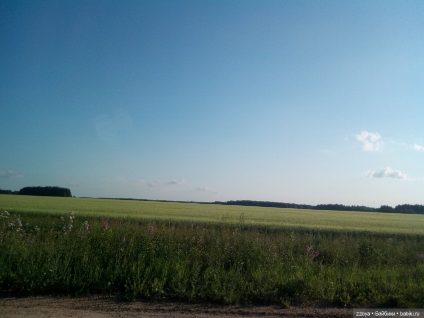 Гибриды шарнирных кукол (не БЖД): подбор тела