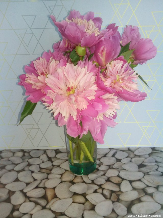 Гибриды шарнирных кукол (не БЖД): подбор тела