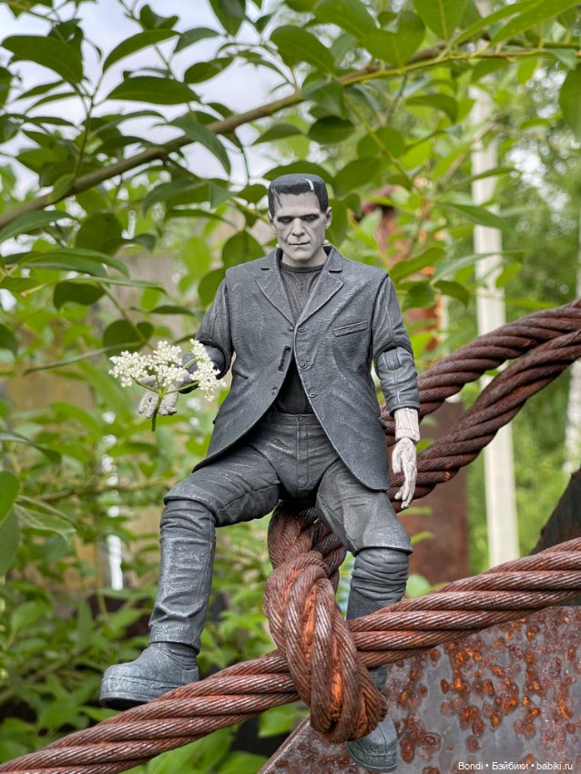 Мой Франкенштейн — Коллекционные экшн (фото 10)