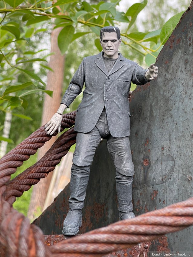 Мой Франкенштейн — Коллекционные экшн (фото 5)