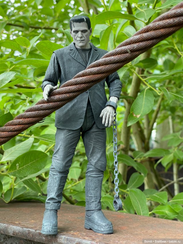 Мой Франкенштейн — Коллекционные экшн (фото 4)