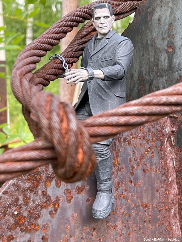 Мой Франкенштейн — Коллекционные экшн (фото 2)