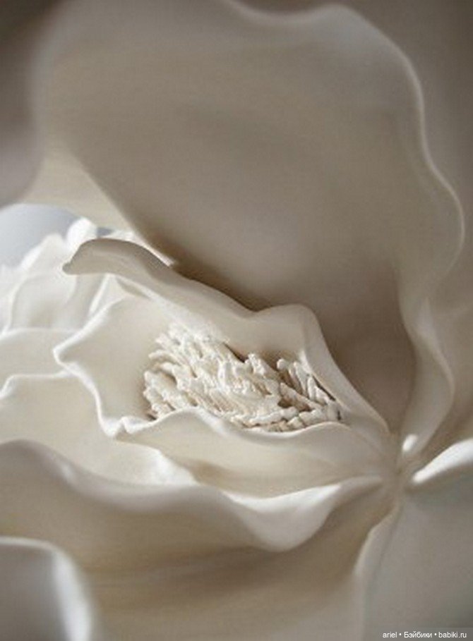 Серия скульптур “Жители подводного мира“ от Норико Куресуми (Noriko Kuresumi) (фото 10)