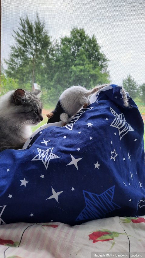 Моя работа крыса по выкройке Сары Элизабет Келлнер