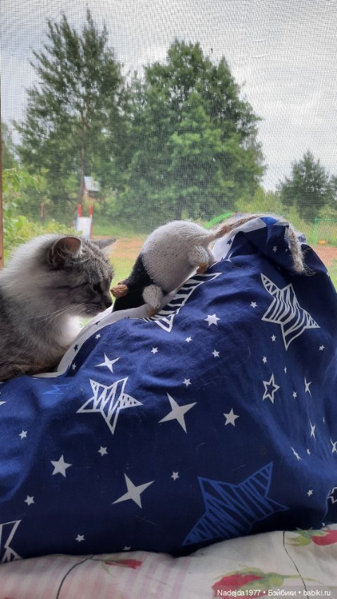 Моя работа крыса по выкройке Сары Элизабет Келлнер