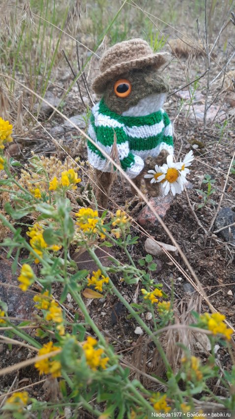 Мои последние работы.Лягушки по выкройке Клэр Гарланд