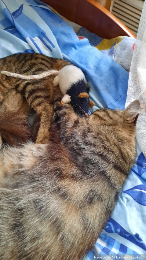 Моя работа крыса по выкройке Сары Элизабет Келлнер