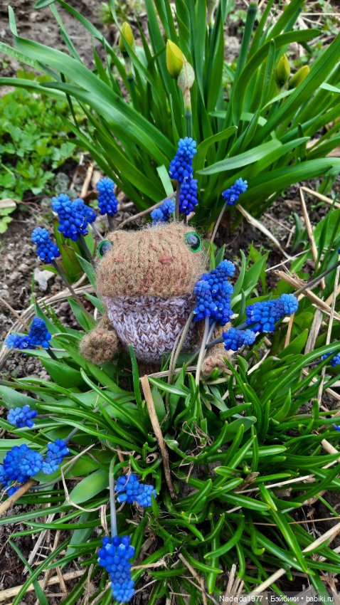 Мои последние работы.Лягушки по выкройке Клэр Гарланд (фото 2)