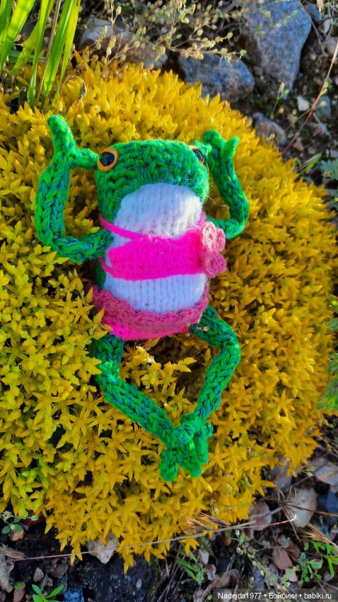 Мои последние работы.Лягушки по выкройке Клэр Гарланд