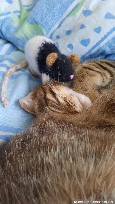 Моя работа крыса по выкройке Сары Элизабет Келлнер (фото 9)