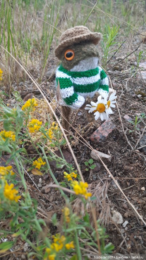 Мои последние работы.Лягушки по выкройке Клэр Гарланд