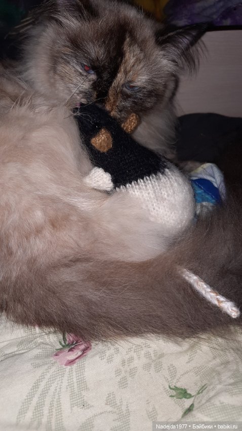 Моя работа крыса по выкройке Сары Элизабет Келлнер (фото 2)